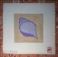 Beach Coaster: Conch Shell